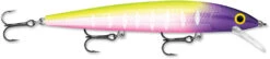 Rapala Husky Jerk 12 Jerkbait/Trolling Minnow -Cheap Fishing Store HJ12 14 MFT 30c50575 8d12 44fc 883c 4253fe262622