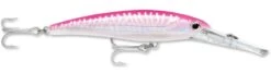Rapala X-Rap Magnum 40 Big Game Slash Bait -Cheap Fishing Store Hot Pink UV b24b35dc 2fca 4a2a b250 4347bf61c445