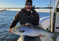 Nomad Design Inshore Spinning Rod -Cheap Fishing Store Inshore Spin