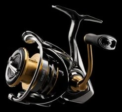 Daiwa Exceler LT Spinning Reel -Cheap Fishing Store JTKar0HY