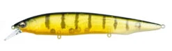 Megabass Kanata Jerkbait -Cheap Fishing Store Kanata GP Pro Perch