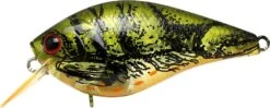 Lucky Craft LC 1.5 Deep Rattle Sound (DRS) Shallow Squarebill Crankbait -Cheap Fishing Store LC 1 5DRS 188TOGC