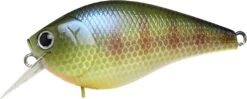 Lucky Craft LC 1.5 Deep Rattle Sound (DRS) Shallow Squarebill Crankbait -Cheap Fishing Store LC 1 5DRS 269BEGL