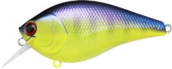 Lucky Craft LC 2.5 Shallow Squarebill Crankbait -Cheap Fishing Store LC 2 5 136TOGL