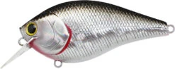 Lucky Craft LC 2.5 Shallow Squarebill Crankbait -Cheap Fishing Store LC 2 5 419BPGSN