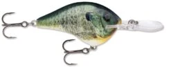 Rapala DT Series Crankbait DT14 -Cheap Fishing Store Live Bluegill 54b3cb75 ad99 48aa b0bf acb677e159ab