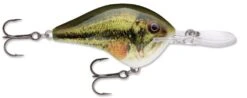 Rapala DT Series Crankbait DT14 -Cheap Fishing Store Live Largemouth Bass e41a2a50 910d 4609 ac40 3bc3d77b1c5d