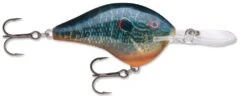 Rapala DT Series Crankbait DT14 -Cheap Fishing Store Live Pumkinseed 552b3c5e d89f 421f bb94 4b20f67dd065