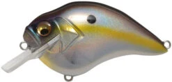 Megabass S Crank 1.5 Shallow Squarebill Crankbait 15 Megabass S Crank 1.5 Shallow Squarebill Crankbait -Cheap Fishing Store MB 0396610001 c27a0268 7676 48b8 aec1 219eafc41fa2