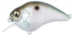 Megabass S Crank 1.5 Shallow Squarebill Crankbait 11 Megabass S Crank 1.5 Shallow Squarebill Crankbait -Cheap Fishing Store MB 0396638742 14a99506 a561 4b66 a4cf a9f79ee63784