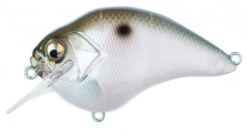 Megabass S Crank 1.2 Shallow Squarebill Crankbait -Cheap Fishing Store MB 0396738740 81767a80 4cd7 4879 9f5b f4f12df18d74