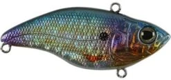 SPRO Aruku Shad Jr. Lipless Crankbait 24 SPRO Aruku Shad Jr. Lipless Crankbait -Cheap Fishing Store Magic Shad 15cace6c cd9d 4306 aab0 df8ddbd71360