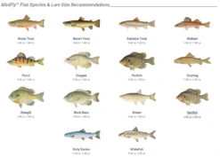 Panther Martin MiniFly 3-Pack Spinner Kit -Cheap Fishing Store Mini fly species