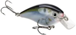 Strike King KVD Magnum Square Bill 8.0 Silent Crankbaits 29 Strike King KVD Magnum Square Bill 8.0 Silent Crankbaits -Cheap Fishing Store Natural Shad 9eb0779d d45c 4460 b516 db24e746528f