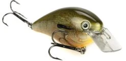 Strike King KVD Magnum Square Bill 8.0 Silent Crankbaits 30 Strike King KVD Magnum Square Bill 8.0 Silent Crankbaits -Cheap Fishing Store Orange Bream 8d82629c 742b 46f0 8fc2 0fe360b975f3