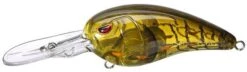 SPRO Mike McClelland RkCrawler 55 Deep Diving Crankbait 32 SPRO Mike McClelland RkCrawler 55 Deep Diving Crankbait -Cheap Fishing Store Phantom Watermelon 9d9b2fef 905e 4065 a77a e65d5ca172cc