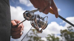 Daiwa Procyon MQ LT Spinning Reel -Cheap Fishing Store Procyon1Spot