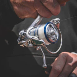 Daiwa Procyon MQ LT Spinning Reel -Cheap Fishing Store Procyon3Spot 1000x a9dd0fff 5484 484f ada8 569f03ffa72b