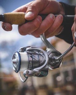 Daiwa Procyon MQ LT Spinning Reel -Cheap Fishing Store Procyon5Spot