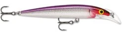 Rapala Scatter Rap Deep Husky Jerk -Cheap Fishing Store Purple Clown d11ebfd6 de67 43ba a3f3 8fbef0956eef