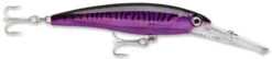 Rapala X-Rap Magnum 15 Big Game Slash Bait -Cheap Fishing Store Purple Mackerel d00f71db 7f8d 4089 b329 a26b6673365f