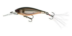 Yo-Zuri 3DB Shad Suspending 2 3/4 Inch Medium Diving Crankbait -Cheap Fishing Store R1104 PTSH 681c5d1a c821 425b 84f6 1c63125329a6