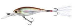Yo-Zuri 3DB Shad Suspending 2 3/4 Inch Medium Diving Crankbait -Cheap Fishing Store R1104 RSM