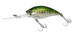 Yo-Zuri 3DB Deep Crank 2 3/4 Inch Deep Diving Crankbait -Cheap Fishing Store R1108 PBB e6dbabfc 2984 466f 8edc 5c23f0600bf5