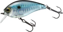 Yo-Zuri 3DB Crank 1.5 Shallow Squarebill Crankbait 32 Yo-Zuri 3DB Crank 1.5 Shallow Squarebill Crankbait -Cheap Fishing Store R1352 PSH
