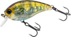 Yo-Zuri 3DB Crank 1.5 Shallow Squarebill Crankbait 36 Yo-Zuri 3DB Crank 1.5 Shallow Squarebill Crankbait -Cheap Fishing Store R1352 RGCF 3b22e7e7 3013 47a9 ab9b 704f1315e13a
