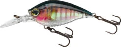 Yo-Zuri 3DB Crank 1.5 MR Medium Diving Crankbait -Cheap Fishing Store R1353 RGB 929baf19 2669 419a b718 142e9dc03f1c
