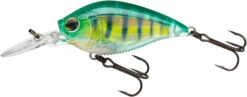 Yo-Zuri 3DB Crank 1.5 MR Medium Diving Crankbait -Cheap Fishing Store R1353 RPC b45b787d aad7 47fc 9ecb 10bbb906a713