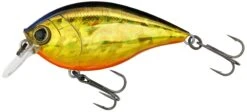 Hardcore Crank SR 65F Shallow Squarebill Crankbait -Cheap Fishing Store R1363 HGSN