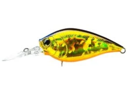 Hardcore Crank MR 60F Medium Crankbait -Cheap Fishing Store R1364 HGSN