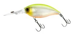 Hardcore Crank 70F 3+ Deep Diving Crankbait -Cheap Fishing Store R1376 CRANK 3 70F GPCL