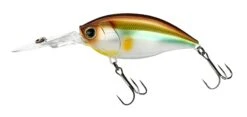 Hardcore Crank 70F 3+ Deep Diving Crankbait -Cheap Fishing Store R1376 CRANK 3 70F MGSA 1