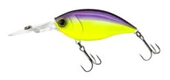 Hardcore Crank 70F 3+ Deep Diving Crankbait -Cheap Fishing Store R1376 CRANK 3 70F PUCL