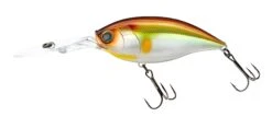 Hardcore Crank 75F 4+ Deep Diving Crankbait -Cheap Fishing Store R1377 CRANK 4 75F MGSA