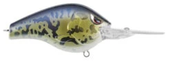 SPRO Fat Papa 55 Medium Diving Crankbait -Cheap Fishing Store SBD55GBY Goby