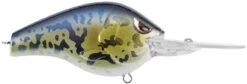 SPRO Fat Papa 70 Deep Diving Crankbait -Cheap Fishing Store SBD70GBY GOBY dd456962 fa34 4711 8dde 7ee06867a9f7