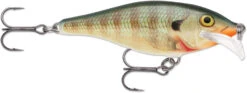 Rapala Scatter Rap Shad 07 Medium Diving Crankbait -Cheap Fishing Store SCRS BG