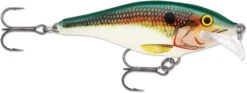Rapala Scatter Rap Shad 07 Medium Diving Crankbait -Cheap Fishing Store SCRS SD