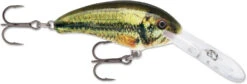 Rapala Shad Dancer SDD05 Medium Diving Crankbait -Cheap Fishing Store SDD LBL