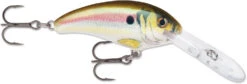 Rapala Shad Dancer SDD05 Medium Diving Crankbait -Cheap Fishing Store SDD RSL