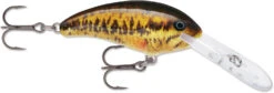 Rapala Shad Dancer SDD05 Medium Diving Crankbait -Cheap Fishing Store SDD SBL