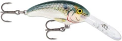 Rapala Shad Dancer SDD05 Medium Diving Crankbait -Cheap Fishing Store SDD SD