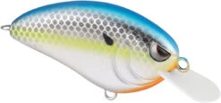 SPRO John Crews Little John 50 Shallow Crankbait -Cheap Fishing Store SLJ50MSC MatteSexyChrome db47ff26 e4ba 4c97 bcd6 08297c66169f