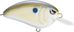 SPRO John Crews Little John 50 Shallow Crankbait -Cheap Fishing Store SLJ50NHR NaturalHerring 6a89d065 88b6 407e 8b92 c6a9b8bc93d3