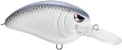 SPRO John Crews Little John MD 50 Crankbait -Cheap Fishing Store SLJM50LVS LavenderShad bc92fc99 ed28 4f91 97b0 63dd1c026014