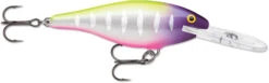 Rapala Shad Rap 1 1/2 Inch Medium Diving Crankbait SR04 -Cheap Fishing Store SR04MFT 068c5efb 4f35 4c3c 8485 ef6c48f93c9d